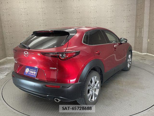 Mazda CX-30 2021-02 1299146-3