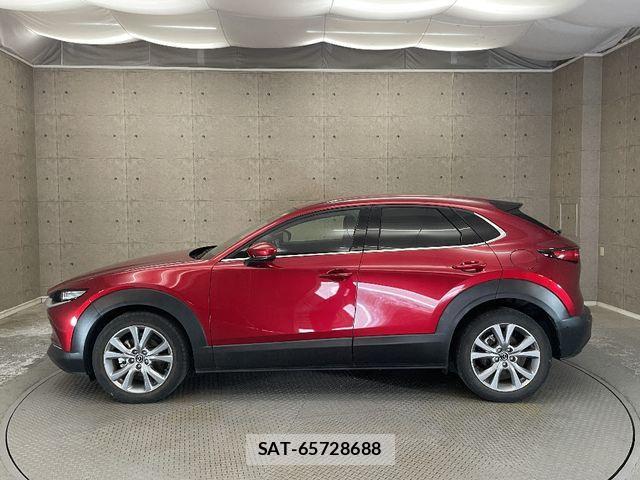 Mazda CX-30 2021-02 1299146-6