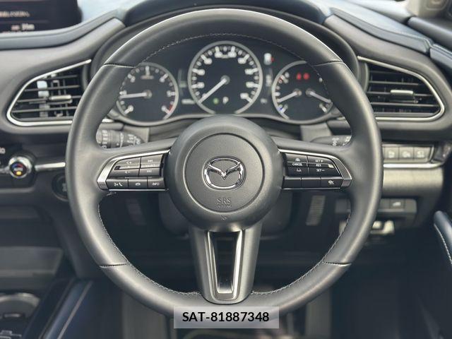 Mazda CX-30 2025-03 2298916-10