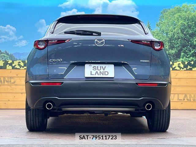 Mazda CX-30 2020-05 2662394-14