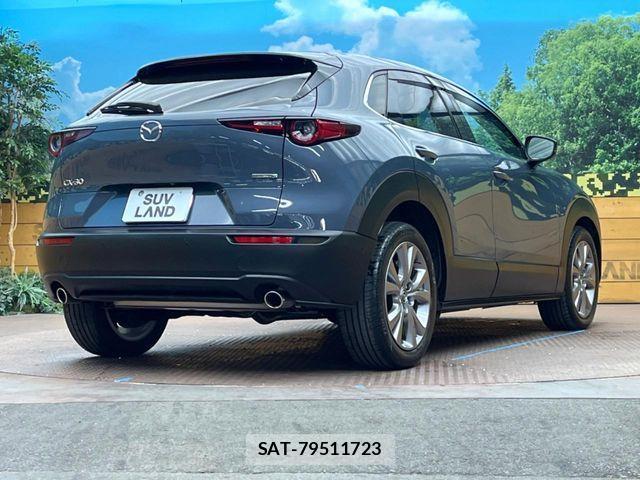 Mazda CX-30 2020-05 2662394-16