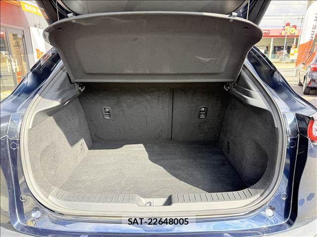 Mazda CX-30 2021-01 3664919-10