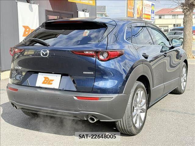 Mazda CX-30 2021-01 3664919-23