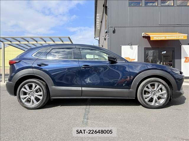 Mazda CX-30 2021-01 3664919-6