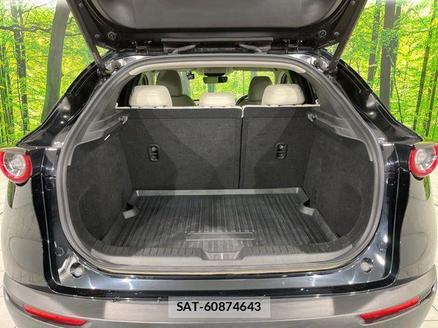Mazda CX-30 2019-10 3767111-10