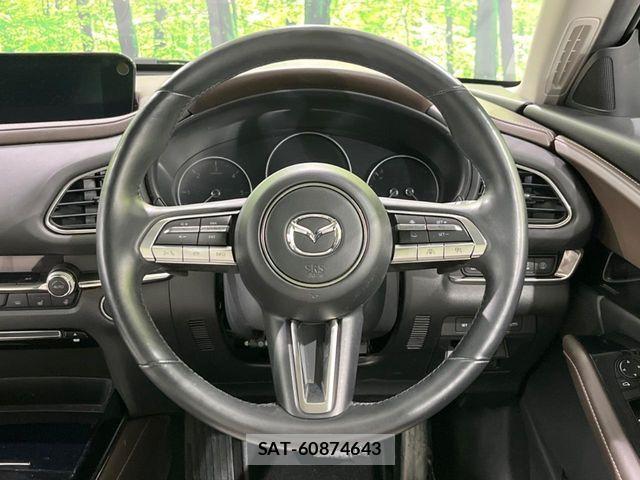 Mazda CX-30 2019-10 3767111-11