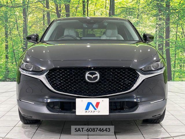 Mazda CX-30 2019-10 3767111-14