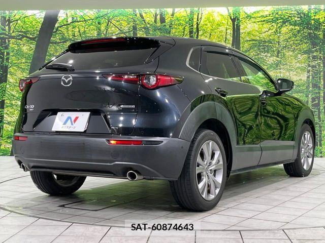 Mazda CX-30 2019-10 3767111-17