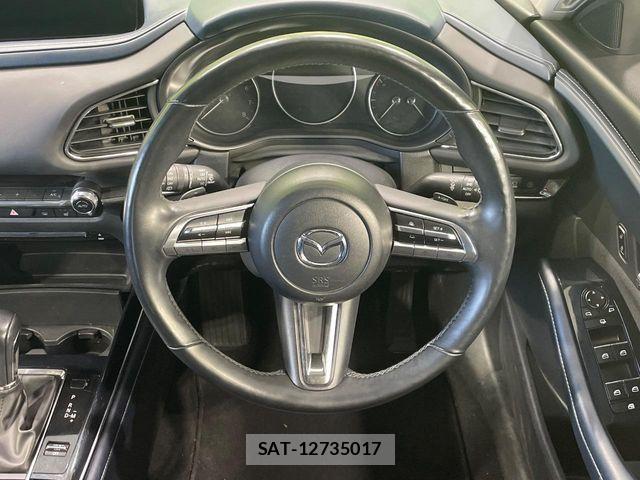 Mazda CX-30 2020-01 4936890-10