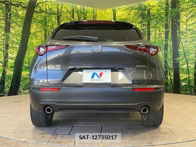 Mazda CX-30 2020-01 4936890-14