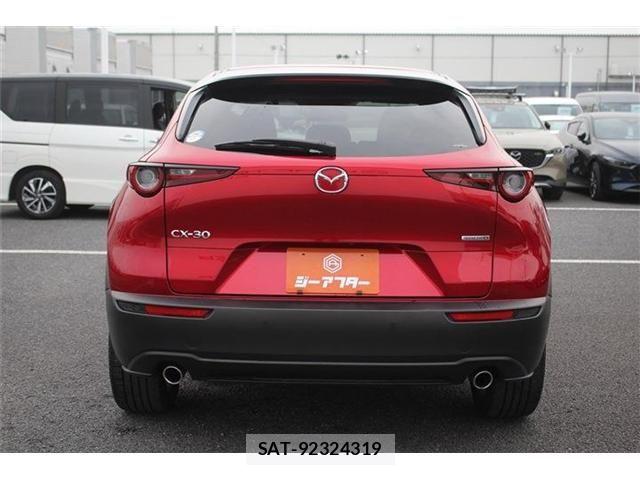 Mazda CX-30 2023-10 6213204-9