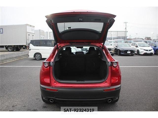 Mazda CX-30 2023-10 6213204-28