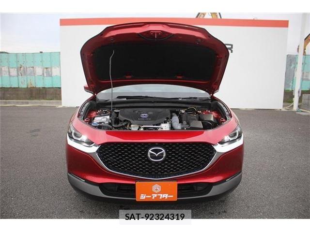 Mazda CX-30 2023-10 6213204-29