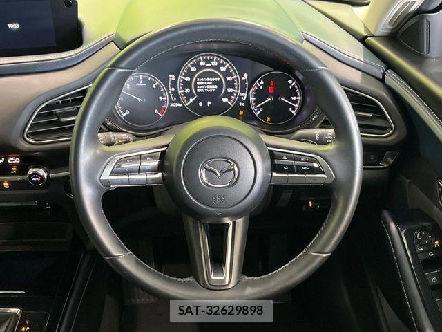 Mazda CX-30 2019-12 6243131-10