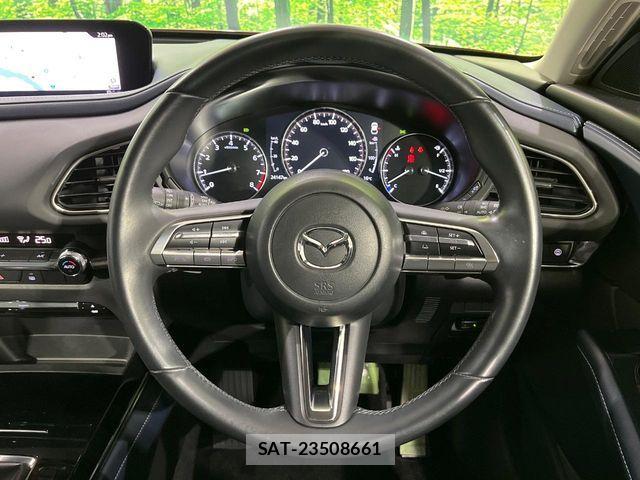 Mazda CX-30 2019-11 6243128-11