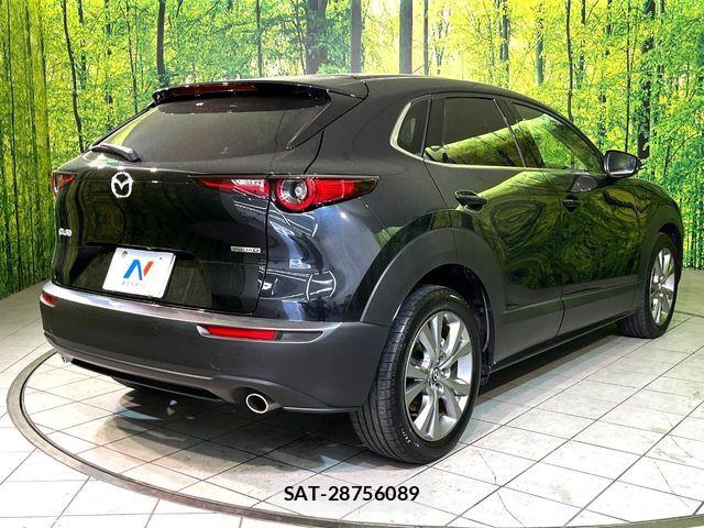 Mazda CX-30 2022-01 6271383-16