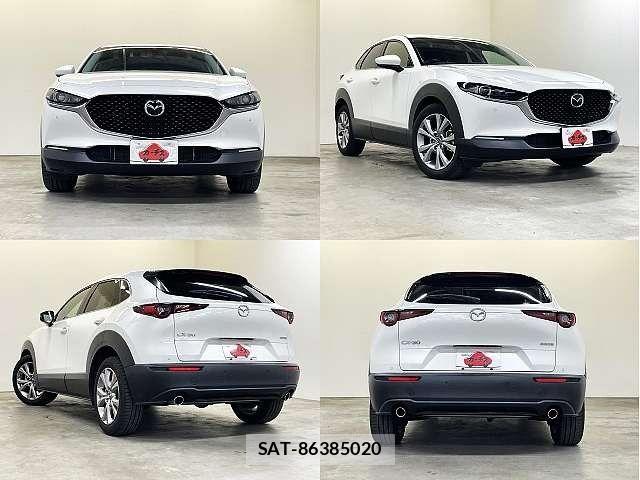 Mazda CX-30 2020-03 6611315-8