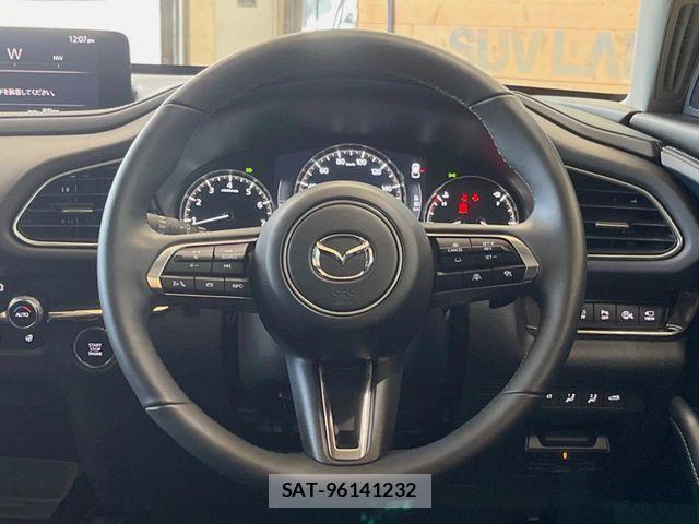 Mazda CX-30 2023-12 6611306-10