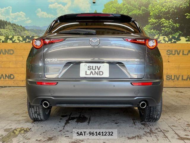 Mazda CX-30 2023-12 6611306-14
