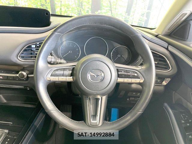 Mazda CX-30 2020-08 6641429-11