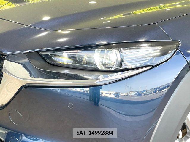 Mazda CX-30 2020-08 6641429-12