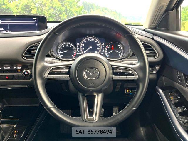 Mazda CX-30 2020-02 6671023-10