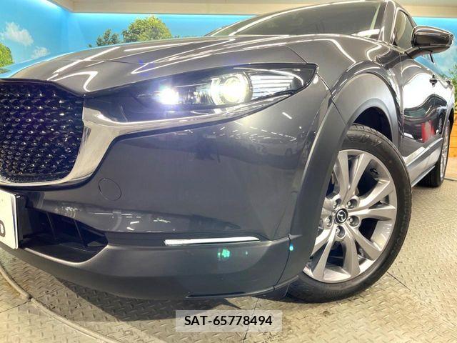 Mazda CX-30 2020-02 6671023-11