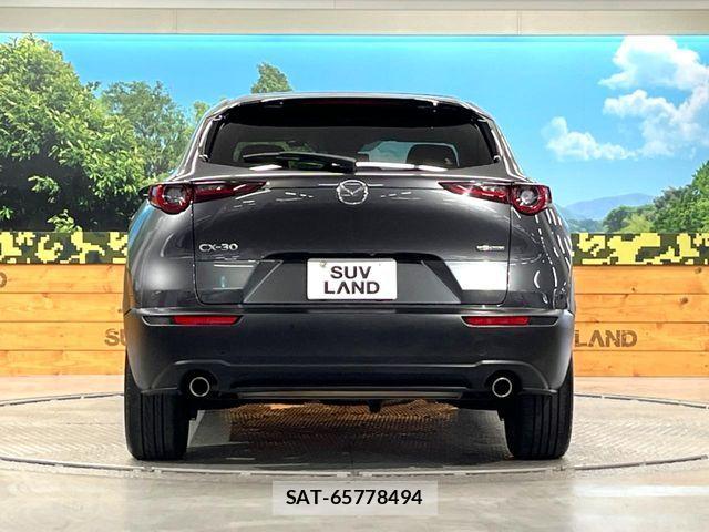 Mazda CX-30 2020-02 6671023-14