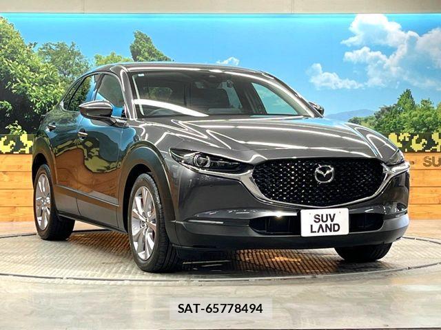 Mazda CX-30 2020-02 6671023-15