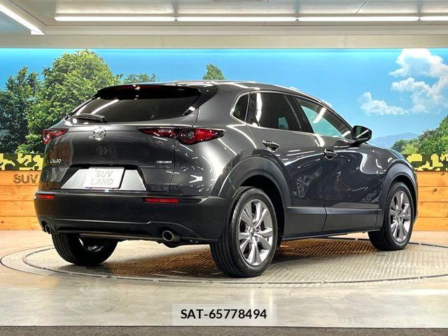 Mazda CX-30 2020-02 6671023-16
