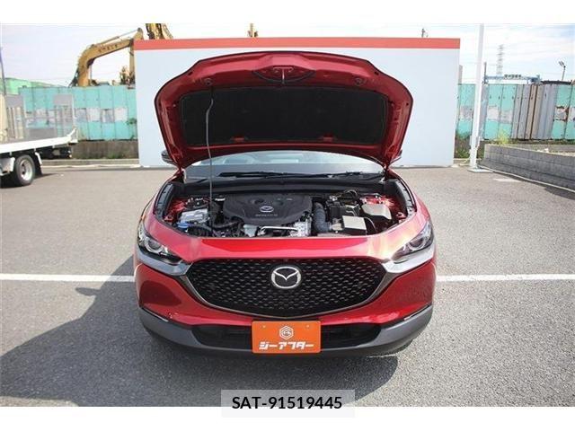 Mazda CX-30 2025-01 6675528-28