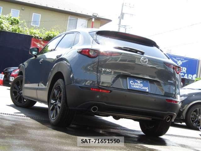 Mazda CX-30 2022-03 6715966-14