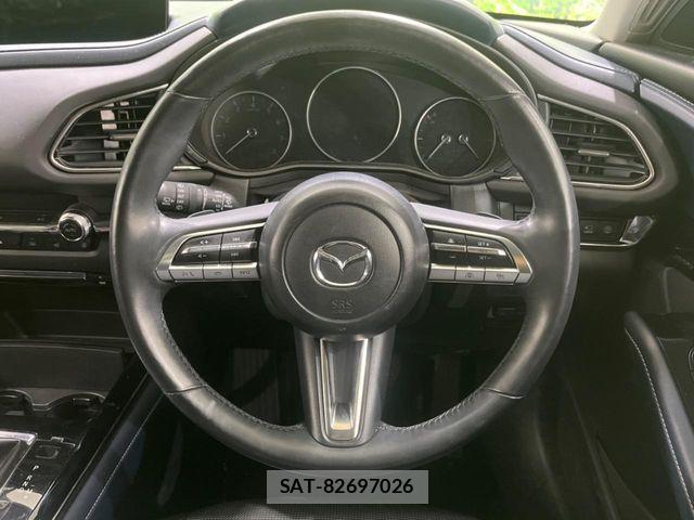 Mazda CX-30 2020-04 6715971-10
