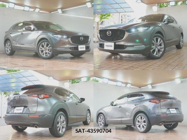 Mazda CX-30 2020-01 6751165-2