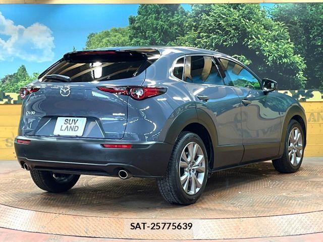 Mazda CX-30 2021-09 6814472-16