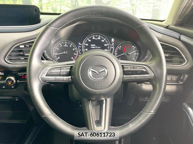 Mazda CX-30 2019-12 6814468-10