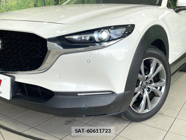 Mazda CX-30 2019-12 6814468-11