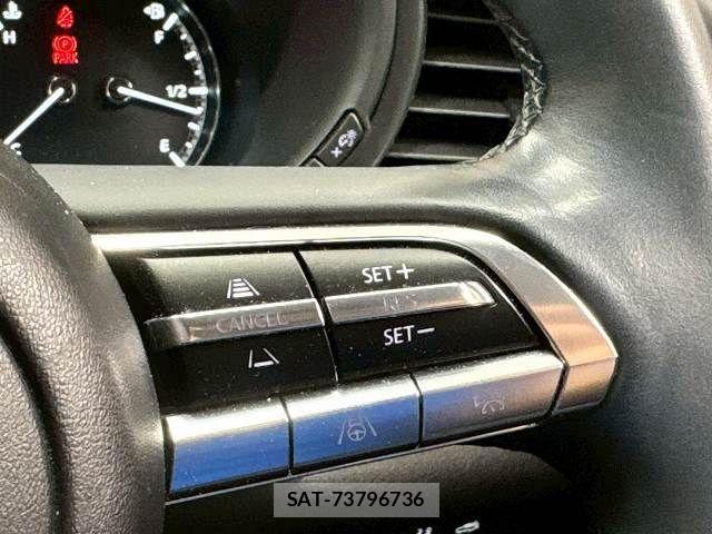 Mazda CX-30 2021-03 6814456-6