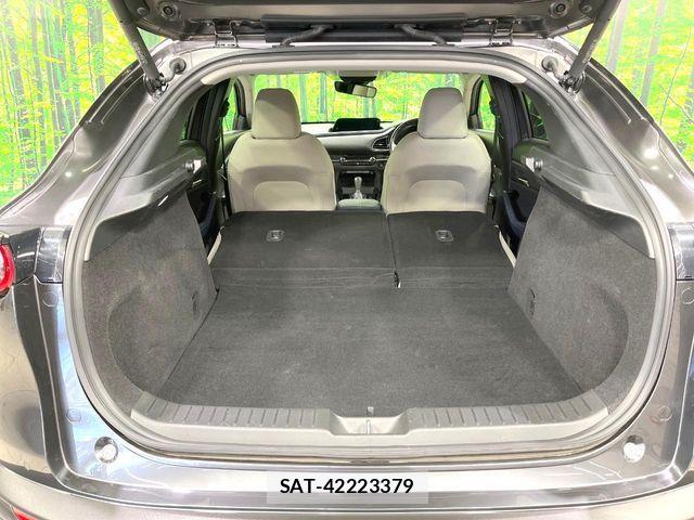 Mazda CX-30 2020-02 6903869-10