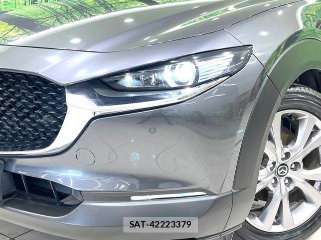 Mazda CX-30 2020-02 6903869-12