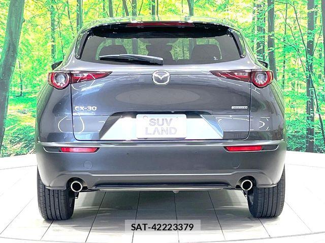 Mazda CX-30 2020-02 6903869-15
