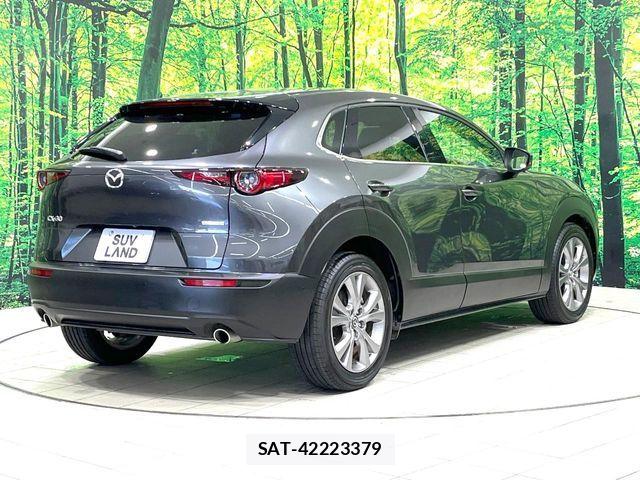 Mazda CX-30 2020-02 6903869-16