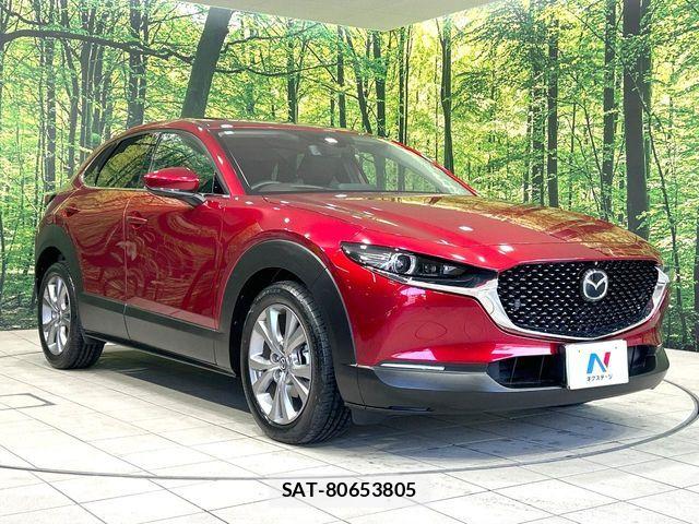 Mazda CX-30 2020-10 6903853-15