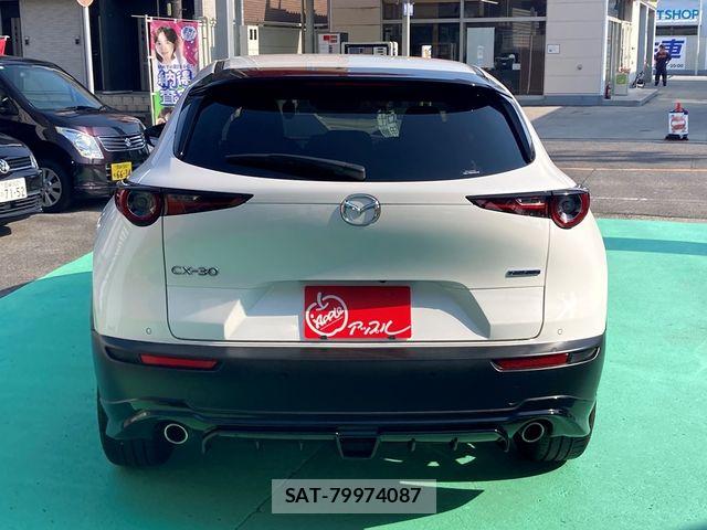 Mazda CX-30 2022-02 6903851-5