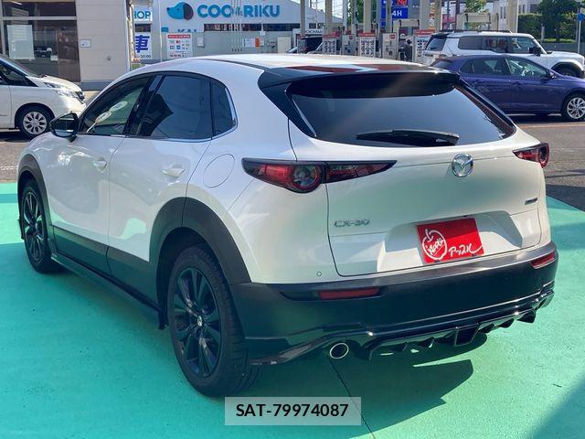 Mazda CX-30 2022-02 6903851-6