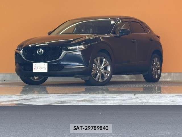 Mazda CX-30 2021-02 6903852-4