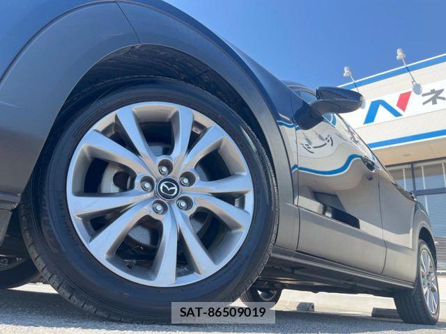 Mazda CX-30 2021-01 6903866-13