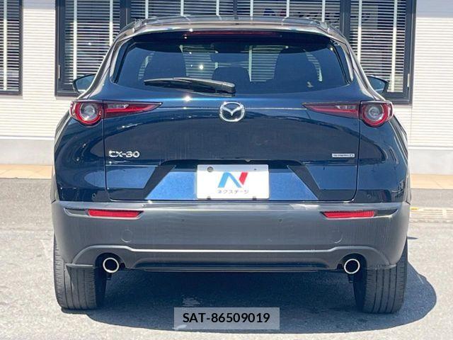 Mazda CX-30 2021-01 6903866-15