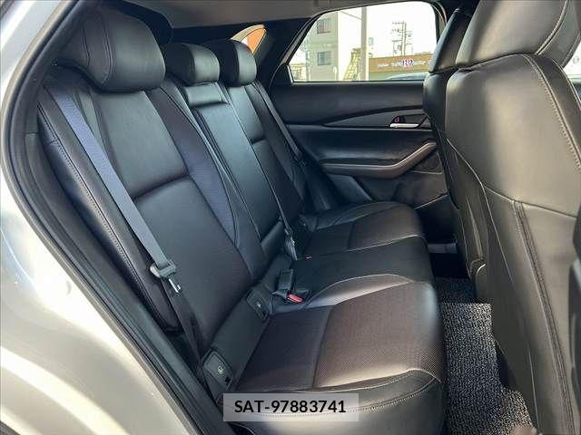 Mazda CX-30 2019-10 6903871-17