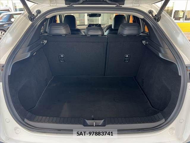 Mazda CX-30 2019-10 6903871-19